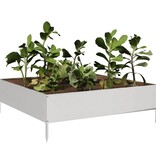 VidaXL Plantenbak verhoogd 100x100x33,5 cm roestvrijstaal