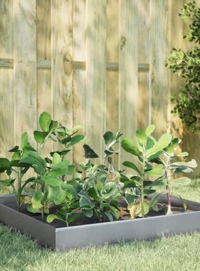 VidaXL Plantenbak verhoogd 100x100x26 cm gegalvaniseerd staal