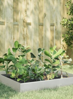 VidaXL Plantenbak verhoogd 100x100x26 cm roestvrijstaal
