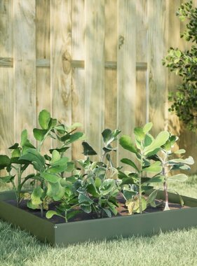VidaXL Plantenbak verhoogd 100x100x26 cm staal olijfgroen