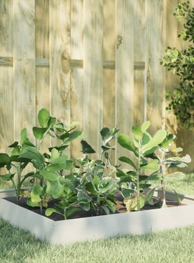 VidaXL Plantenbak verhoogd 100x100x26 cm staal wit