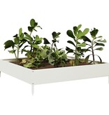 VidaXL Plantenbak verhoogd 100x100x26 cm staal wit