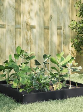 VidaXL Plantenbak verhoogd 100x100x26 cm staal zwart