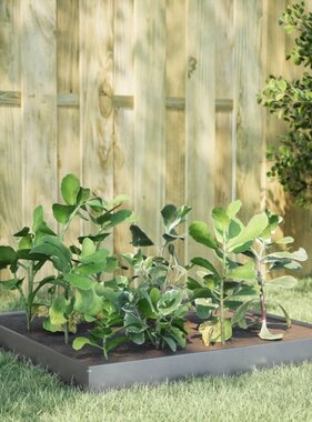 VidaXL Plantenbak verhoogd 100x100x18,5 cm gegalvaniseerd staal