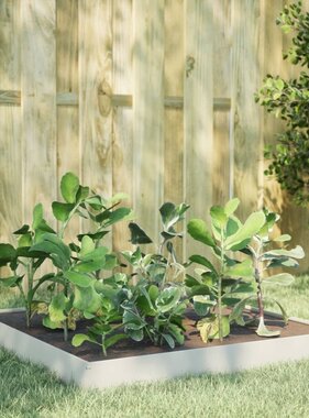 VidaXL Plantenbak verhoogd 100x100x18,5 cm staal wit