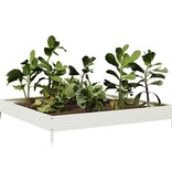VidaXL Plantenbak verhoogd 100x100x18,5 cm staal wit