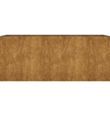 VidaXL Plantenbak verhoogd 200x80x80 cm cortenstaal