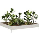 VidaXL Plantenbak verhoogd 100x100x18,5 cm roestvrijstaal