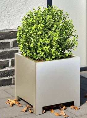 VidaXL Plantenbakken 2 st 30x30x30 cm roestvrij staal