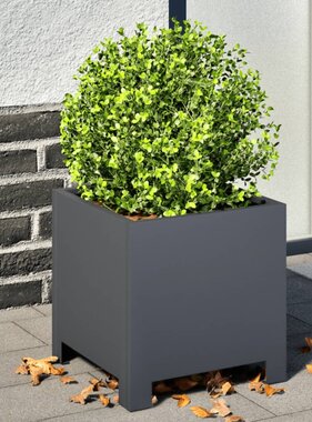 VidaXL Plantenbakken 2 st 30x30x30 cm staal antracietkleurig