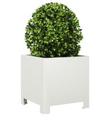 VidaXL Plantenbakken 2 st 30x30x30 cm staal wit