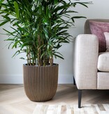 VidaXL Plantenbak Groove 43x41 cm zwart en goudkleurig