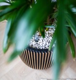 VidaXL Plantenbak Groove 43x41 cm zwart en goudkleurig