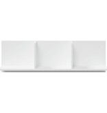 VidaXL Wandkast 100x16,5x30 cm bewerkt hout wit