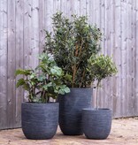 VidaXL Plantenbak Waste Rib laag elegant 46x58 cm grijs