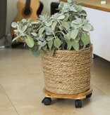 VidaXL Plantentrolley rond Ø30 cm bruin BPC
