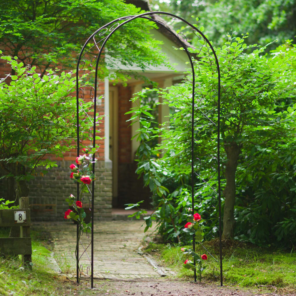 vidaXL Tuinboog 100x37x230 cm metaal zwart