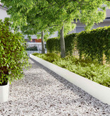 vidaXL Gazonranden 10 st 25x103 cm koudgewalst staal wit