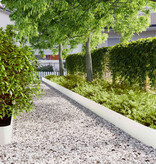 VidaXL Gazonranden 10 st 20x103 cm koudgewalst staal wit