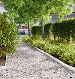 VidaXL Gazonranden 50 st 10x103 cm koudgewalst staal wit