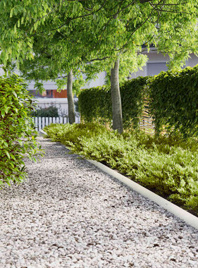 VidaXL Gazonranden 50 st 10x103 cm koudgewalst staal wit