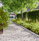 VidaXL Gazonranden 10 st 10x103 cm roestvrij staal