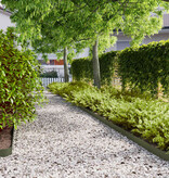 VidaXL Gazonranden 10 st 10x103 cm koudgewalst staal olijfgroen