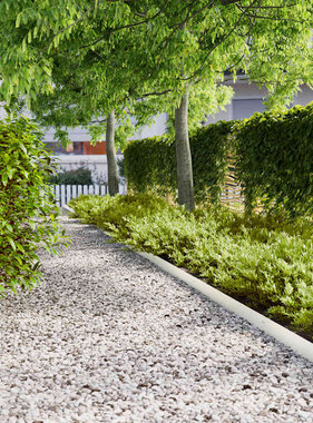 VidaXL Gazonranden 10 st 10x103 cm koudgewalst staal wit