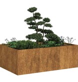 VidaXL Plantenbak roestig 120x80x40 cm weervast staal