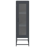 VidaXL Hoge kast 36x39x123 cm koudgewalst staal antracietkleurig