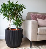 VidaXL Plantenbak Groove 43x41 cm zwart