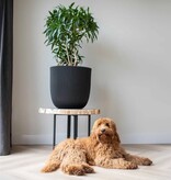 VidaXL Plantenbak Groove 43x41 cm zwart