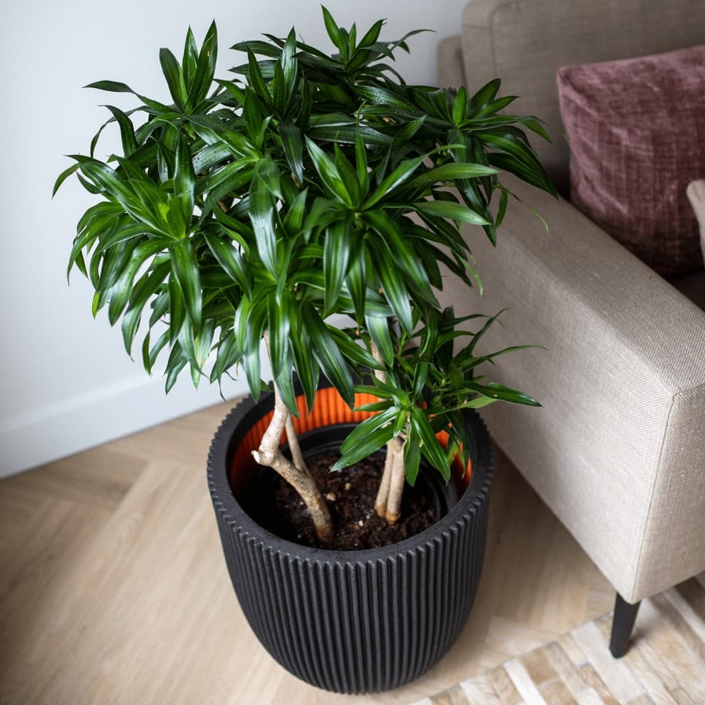 VidaXL Plantenbak Groove 43x41 cm zwart