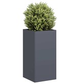 VidaXL Plantenbak 40x40x80 cm koudgewalst staal antracietkleurig