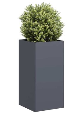 VidaXL Plantenbak 40x40x80 cm koudgewalst staal antracietkleurig