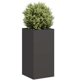 VidaXL Plantenbak 40x40x80 cm koudgewalst staal zwart