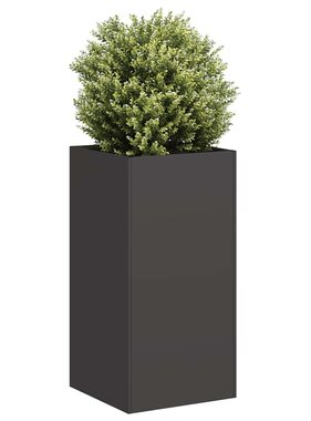 VidaXL Plantenbak 40x40x80 cm koudgewalst staal zwart