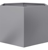 VidaXL Plantenbak zeshoek 69x60x45 cm gegalvaniseerd staal
