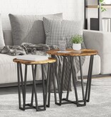 VidaXL Bijzettafel 2 stuks Gerookt Eiken Hout en Metaal