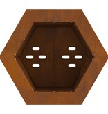 VidaXL Rookloze Vuurkorf Hexagonaal 38x38x51 cm Verweerd Staal