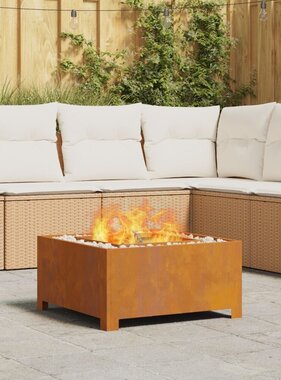 VidaXL Vuurkorf Vierkant 60x60x30 cm Weervast Staal