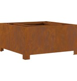 VidaXL Vuurkorf Vierkant 60x60x30 cm Weervast Staal