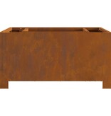 VidaXL Vuurkorf Vierkant 60x60x30 cm Weervast Staal