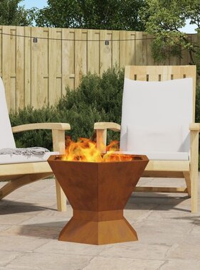 VidaXL Vuurkorf Hexagonaal 50x50x40 cm Weerbestendig Staal