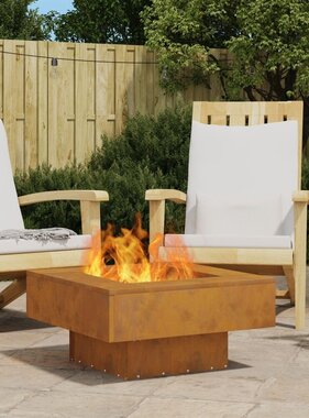 VidaXL Vuurkorf - Vierkant 60x60x30 cm - Weervast Staal