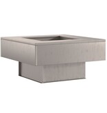 VidaXL Vuurkorf - Vierkant 60x60x30 cm - Weervast Staal