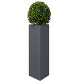 VidaXL Plantenbak driehoek 30x26x75 cm staal antracietkleurig