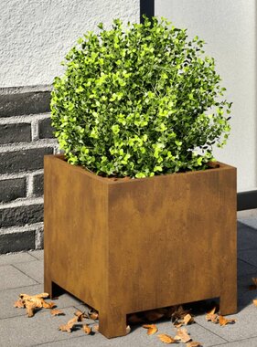 VidaXL Plantenbakken 2 st 30x30x30 cm weervast staal