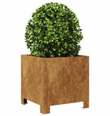 VidaXL Plantenbakken 2 st 30x30x30 cm weervast staal