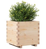 VidaXL Plantenbak 50x50x49,5 cm massief grenenhout